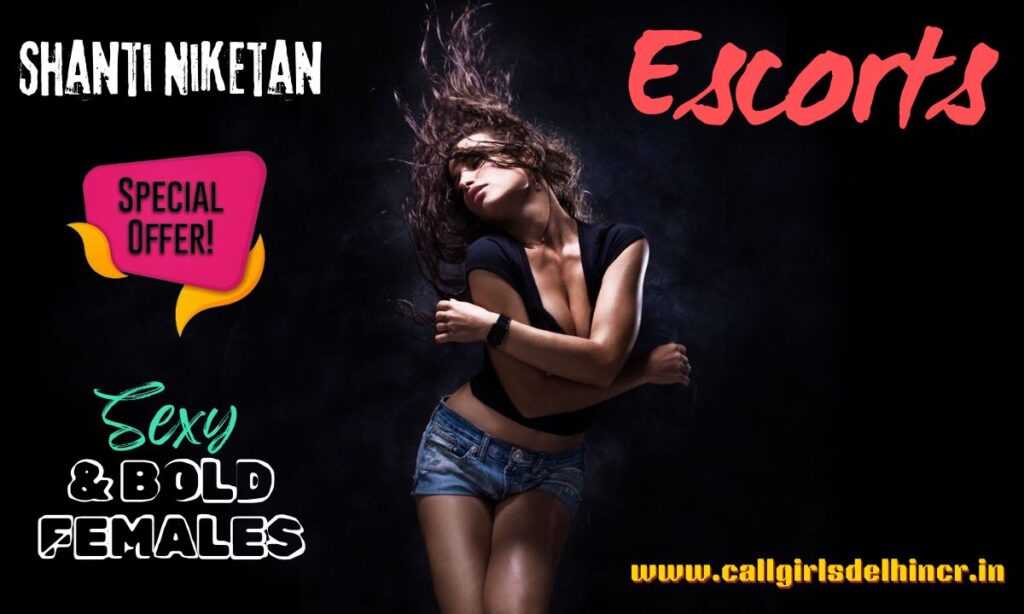 Escorts in Shanti Niketan